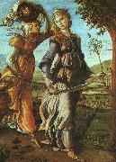 The Return of Judith Botticelli